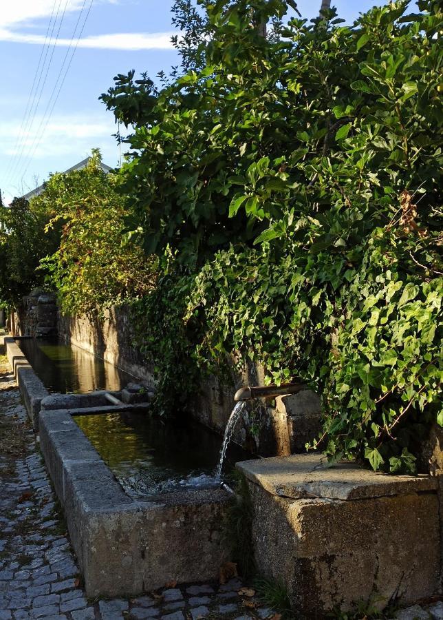 Villa Tauria- Casa De Campo Em Aldeia Medieval Sabugal Exterior foto